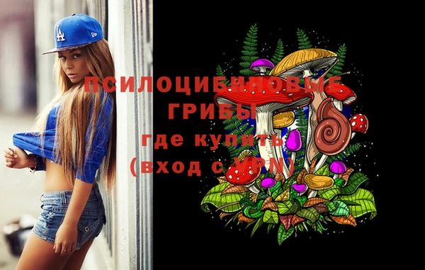 тгк Нязепетровск