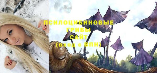 таблы Няндома