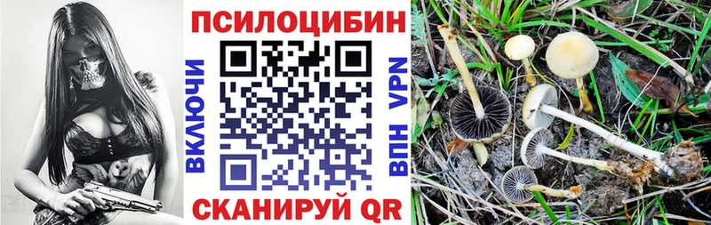 сколько стоит  Рыльск  Галлюциногенные грибы мицелий 