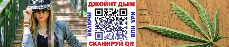 кракен tor  купить наркотики цена  Рыльск  Конопля сатива 